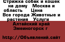 Стрижка собак и кошек на дому.  Москва и область.  › Цена ­ 1 200 - Все города Животные и растения » Услуги   . Алтайский край,Змеиногорск г.